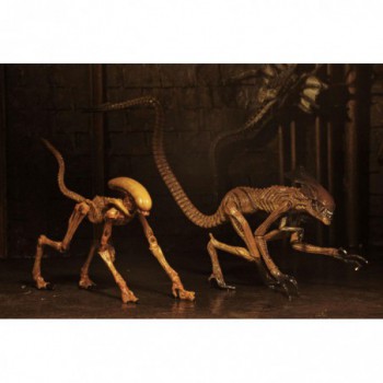 neca  Alien 3 accessoires pour figurines Creature Accessory Pack