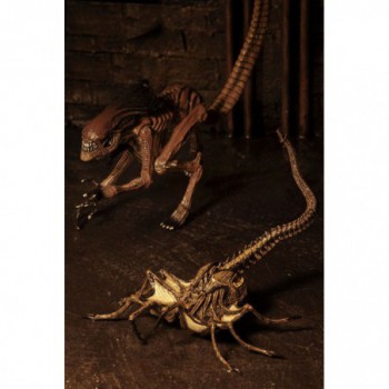 neca  Alien 3 accessoires pour figurines Creature Accessory Pack