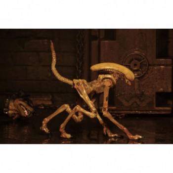neca  Alien 3 accessoires pour figurines Creature Accessory Pack