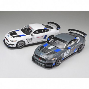 tamiya 1/24  Ford Mustang GT4 24354