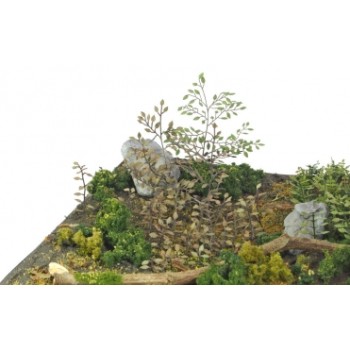 Matho models Plants & Weeds C 1/35