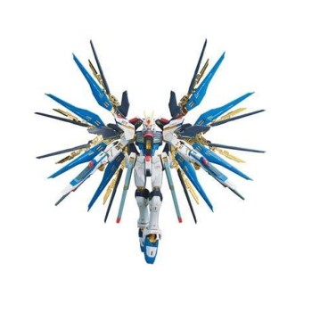bandai Gundam RG 14 Strike Freedom Gundam 1/144