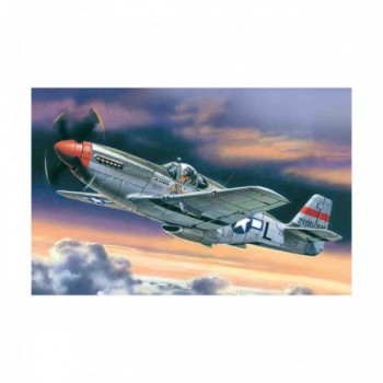 ICM Mustang P-51c 1/48 48121