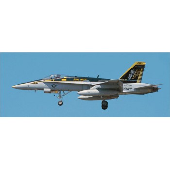 HASEGAWA F/A-18C & F/A-18E COMBO 1/72 00981