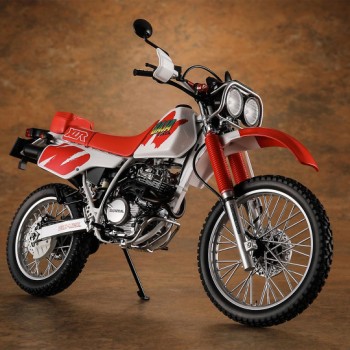 Hasegawa Honda XLR Baja (MD22) 1991 BK16 1/12 21516